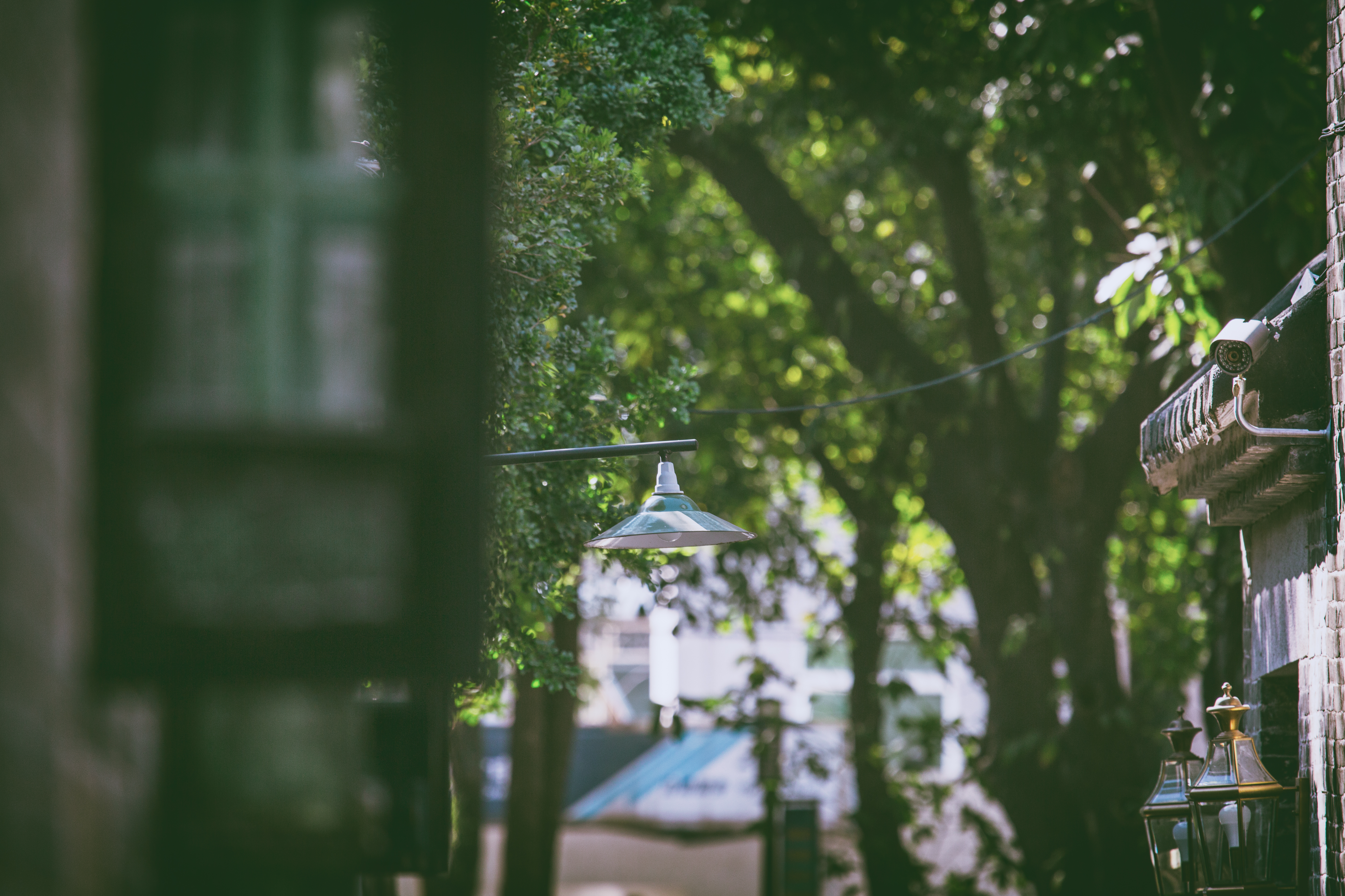 聚龙村 (3).jpg