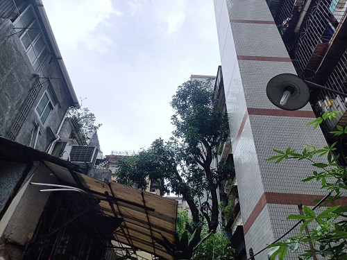 图3：宝华正中约9号小区施工后图.jpg