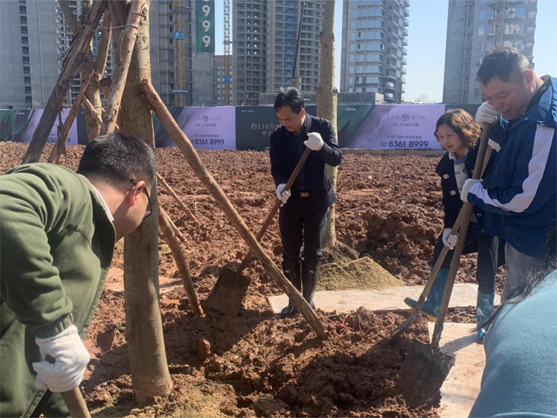 区人大代表陈溪贤植树活动现场_副本.png