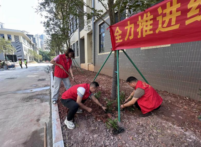 图片3.jpg