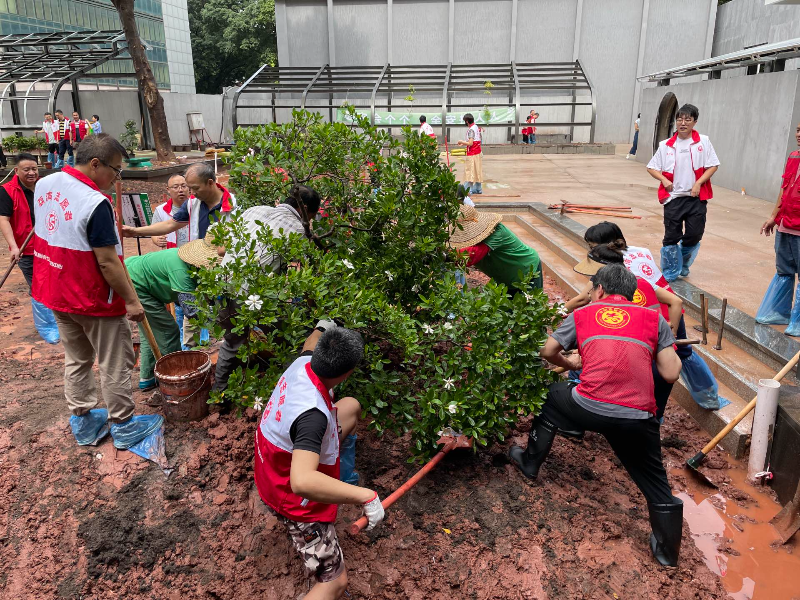 植树活动.jpg
